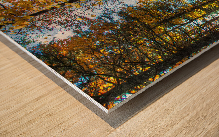 JBS 7125  Impression sur bois