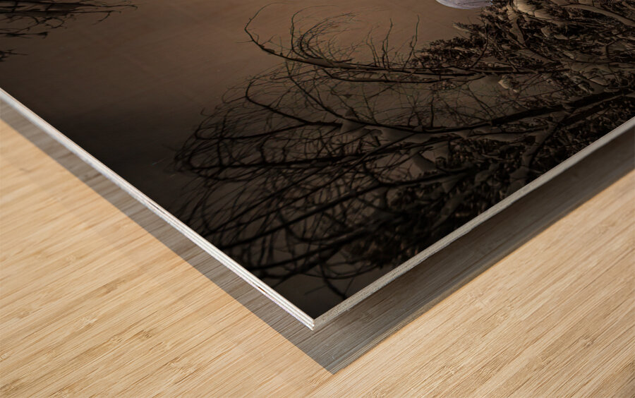 Z62 0235 2  Wood print