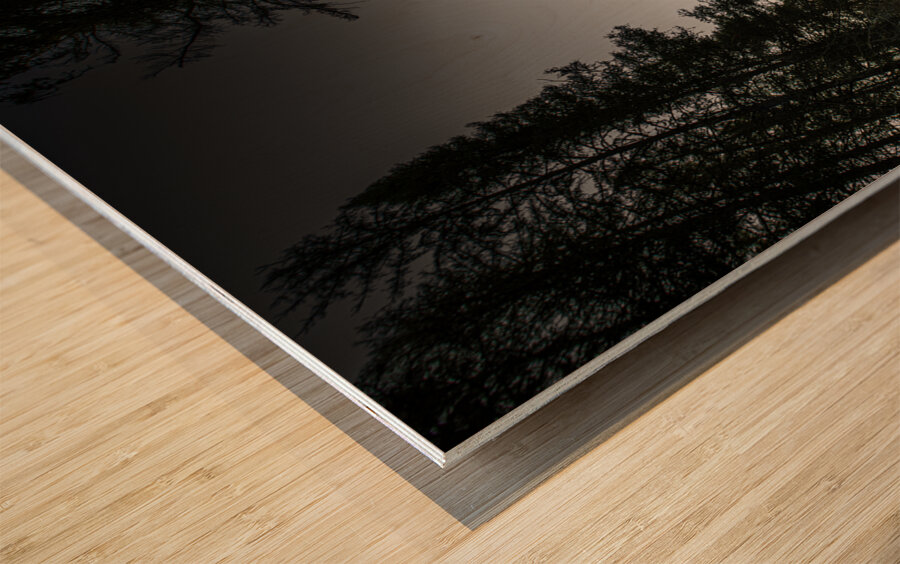 JBS 2030 Impression sur bois