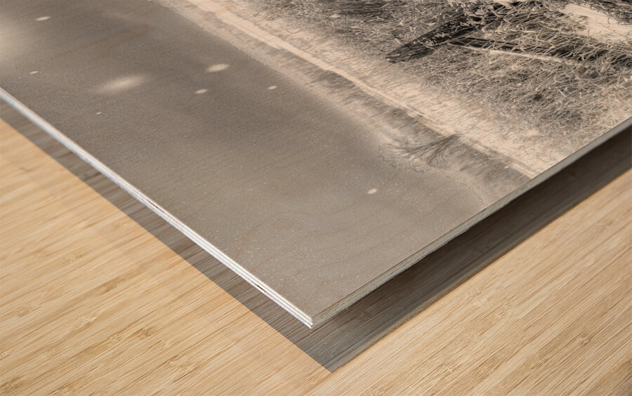 JBS 4080  Wood print