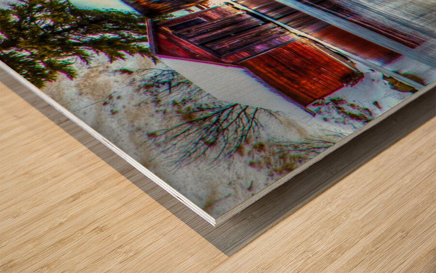 JBS 8335  Impression sur bois