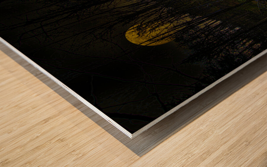 JBS 9682  Wood print