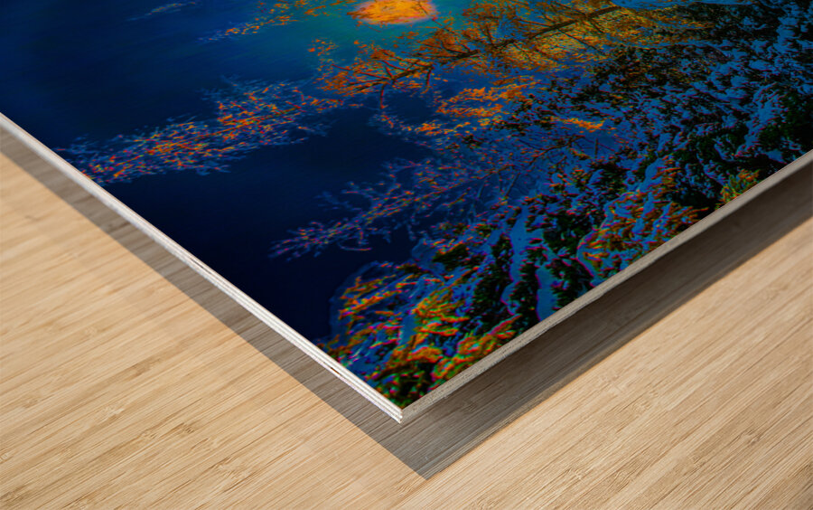 JBS 4968  Wood print