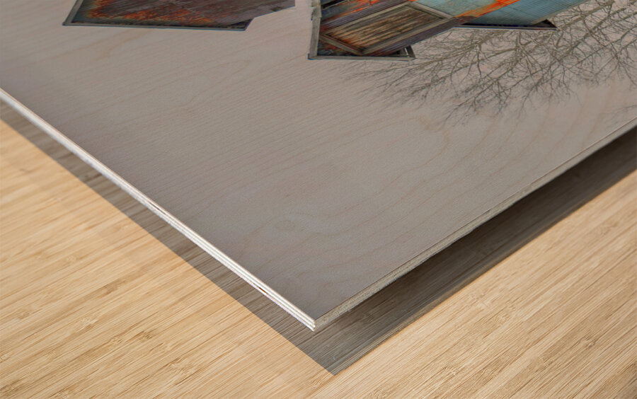 DSC 5683  Wood print