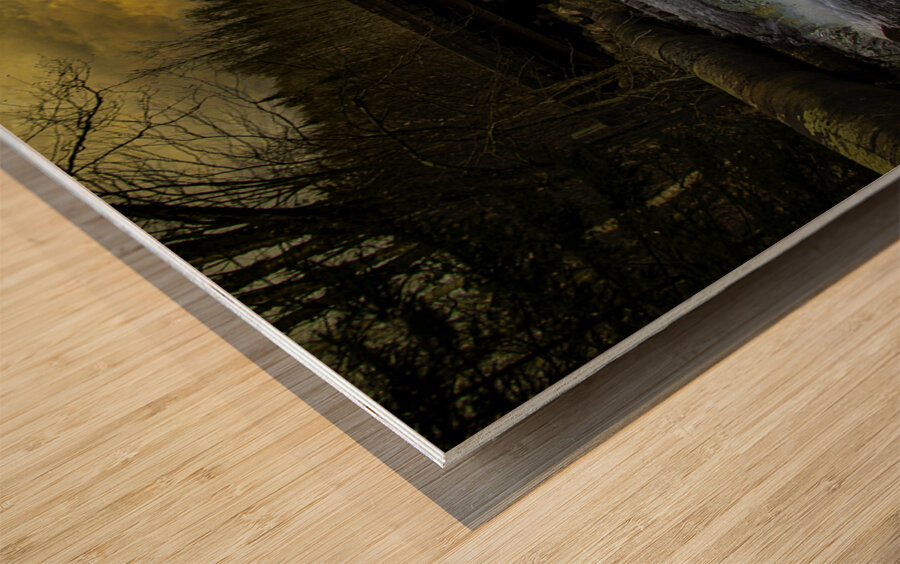 JBS 9699  Wood print