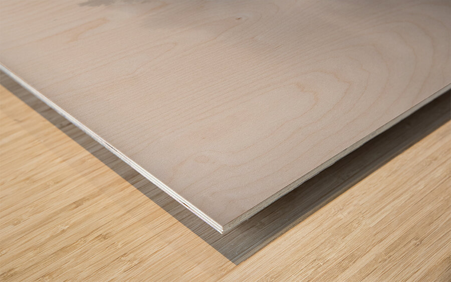 DSC 5615  Impression sur bois