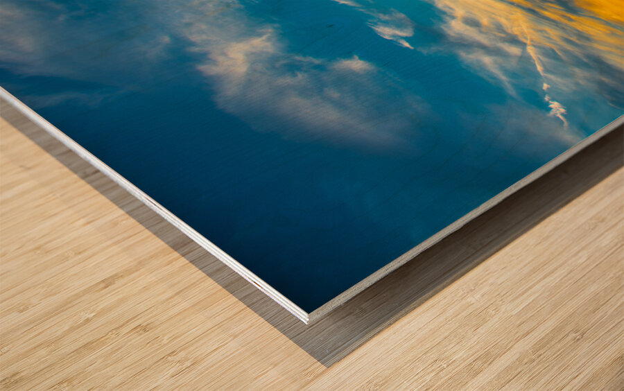 JBS 5301 Impression sur bois