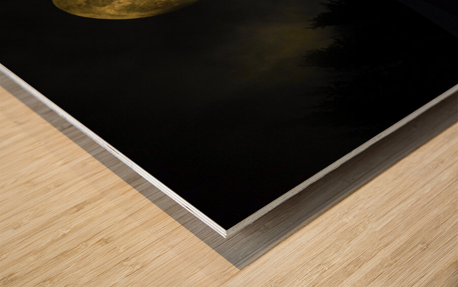 JBS 4093  Impression sur bois