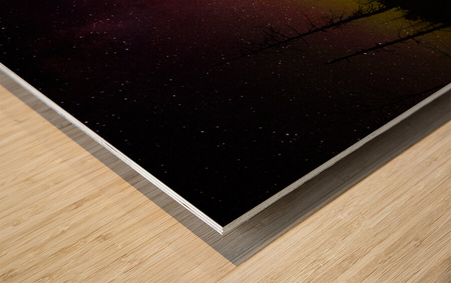 JBS 1455 2 Impression sur bois