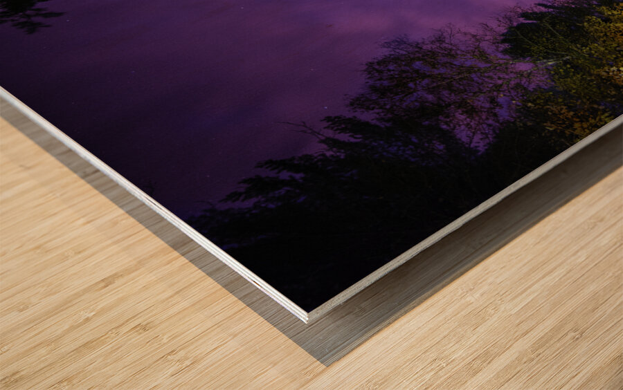 JBS 4855 Impression sur bois