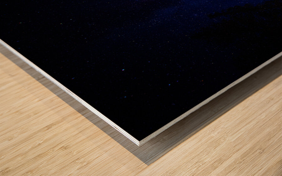 JBS 0760  Wood print