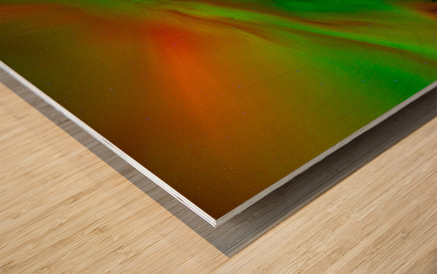 DSC 4390  Wood print