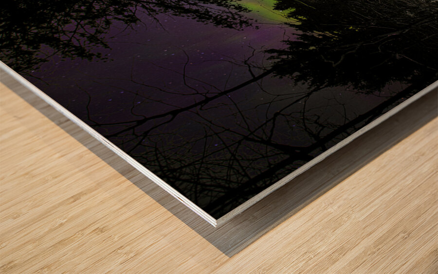 JBS 5199  Impression sur bois