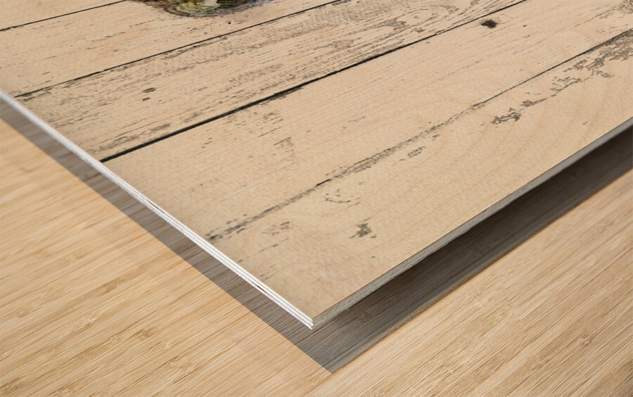 JBS 5420WC 2 Wood print