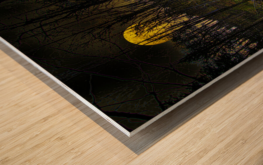 JBS 9682  Impression sur bois