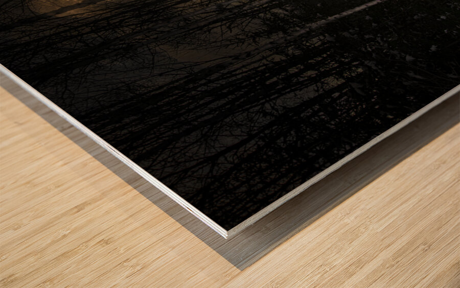 JBS 9973  Impression sur bois