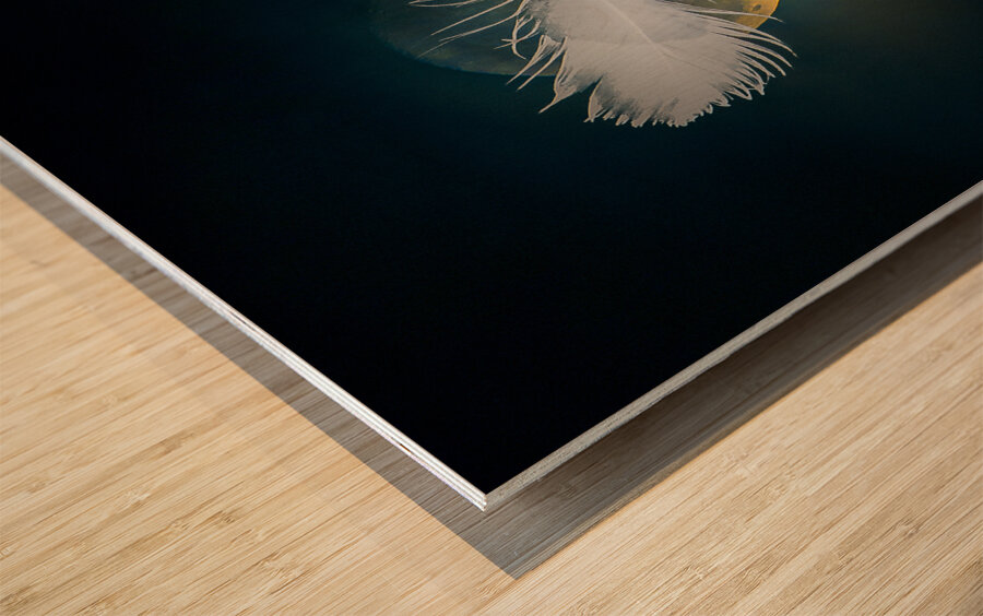 JBS 3024  Wood print