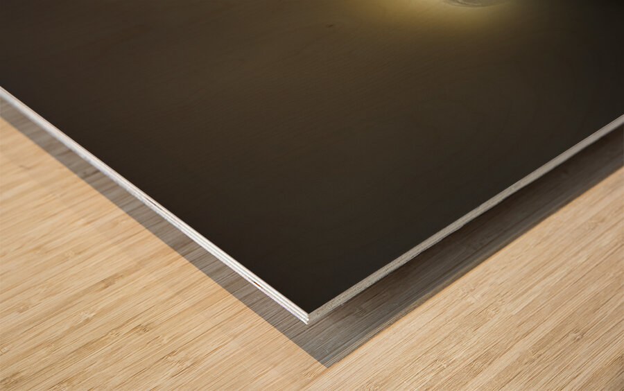 JBS 4756  Impression sur bois