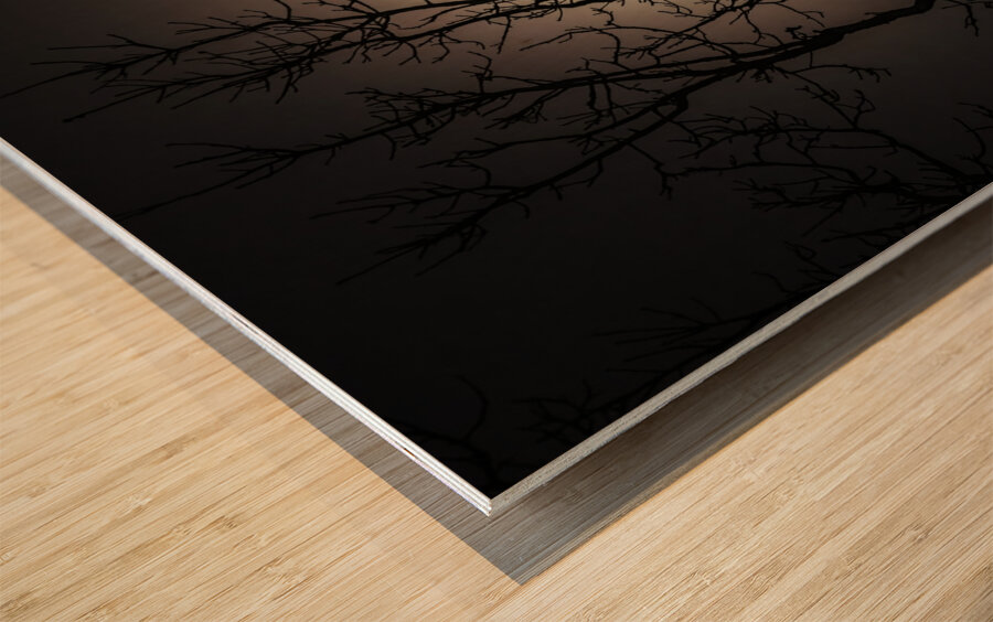 JBS 59702 Wood print