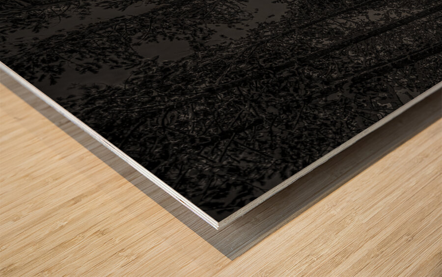 NIGHTWOODS Impression sur bois