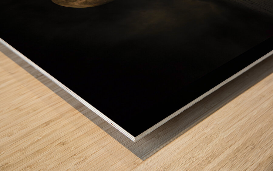 JBS 4030  Impression sur bois