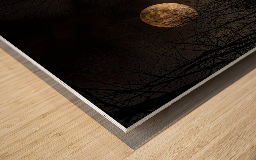 DSC 4177  Wood print