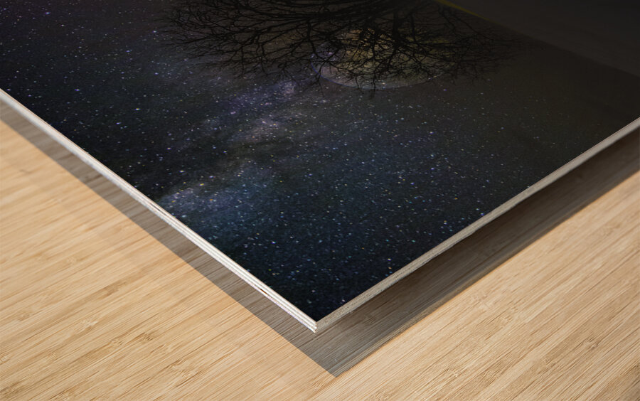 JBS 6098  Wood print