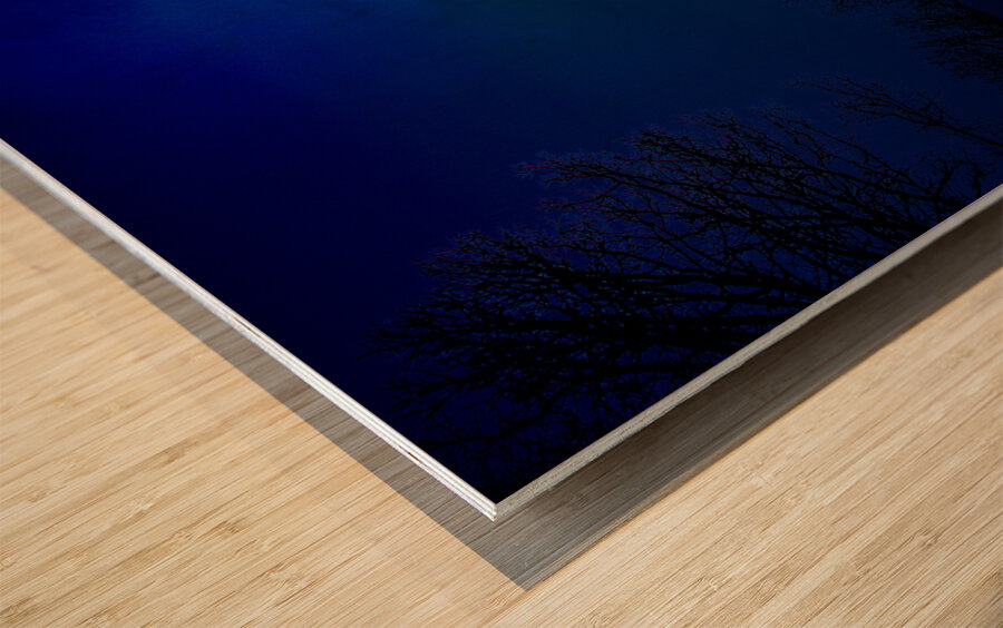 JBS 9674  Wood print