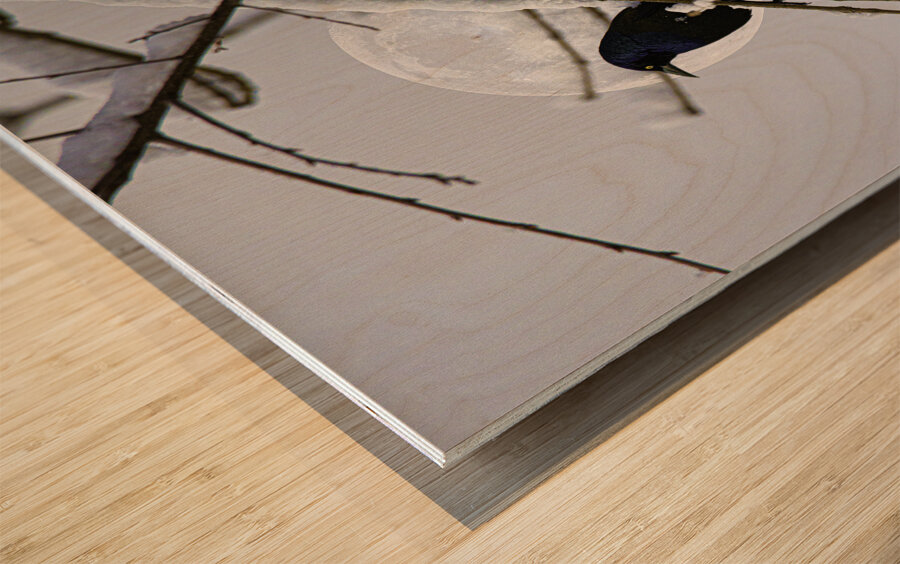 JBS 0164  Impression sur bois