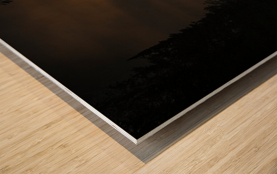 JBS 7068 sun Wood print