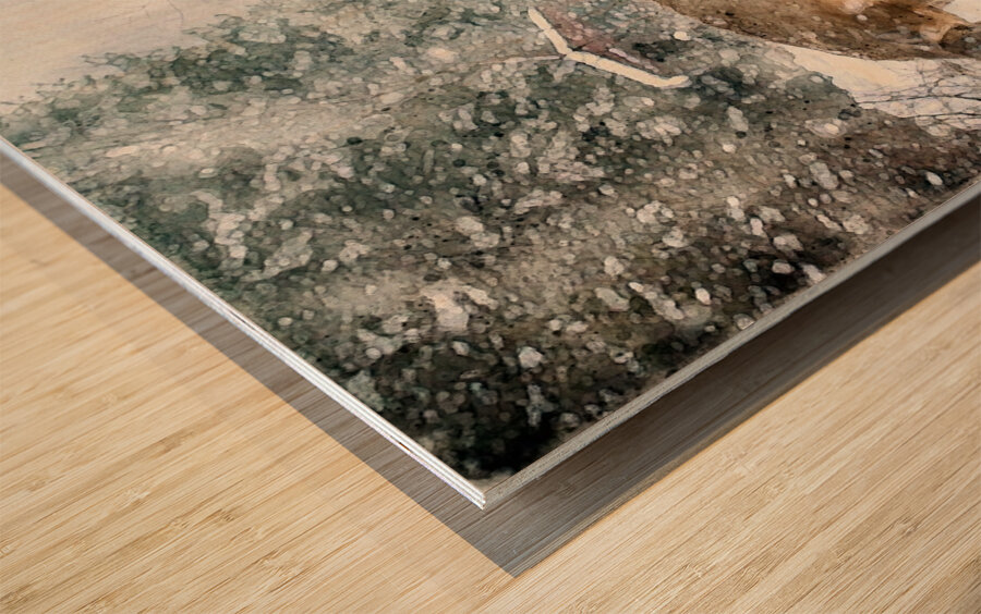 JBS 3204 2  Wood print