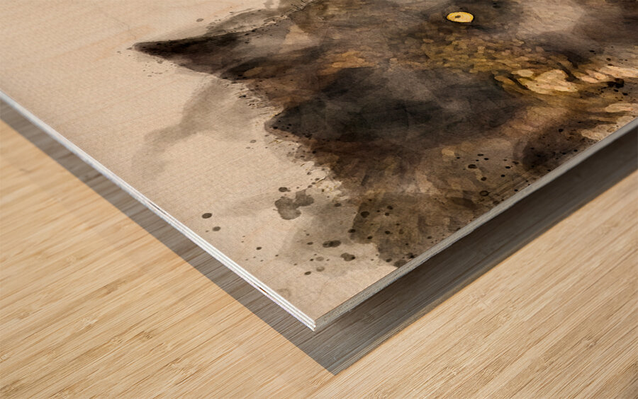 JBS 9070 Impression sur bois