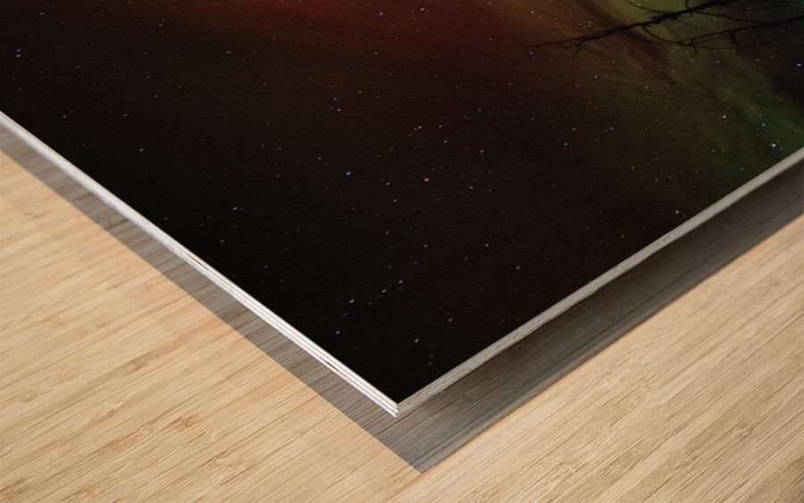 JBS 5620  Impression sur bois