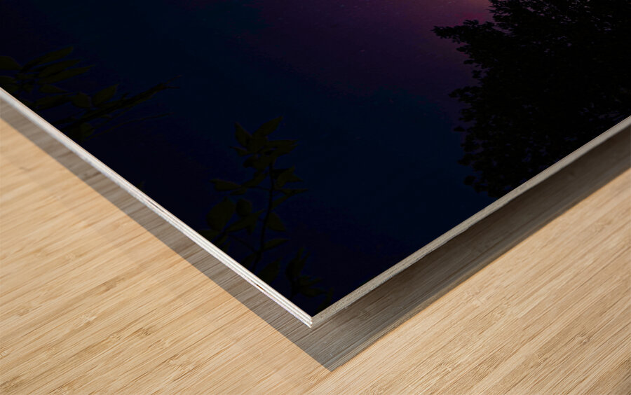 nl12 3858  Wood print