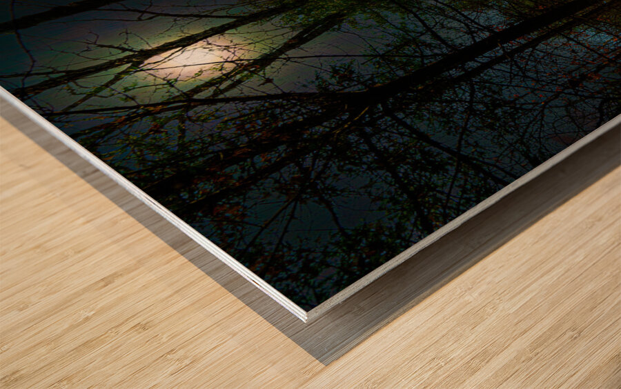 DSC 3665 1 Impression sur bois