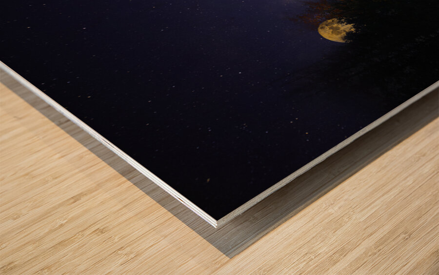 DSC 5763  Impression sur bois