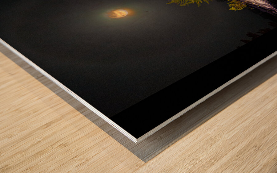 DSC 4341  Wood print