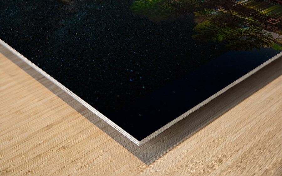 DSC 3542  Impression sur bois