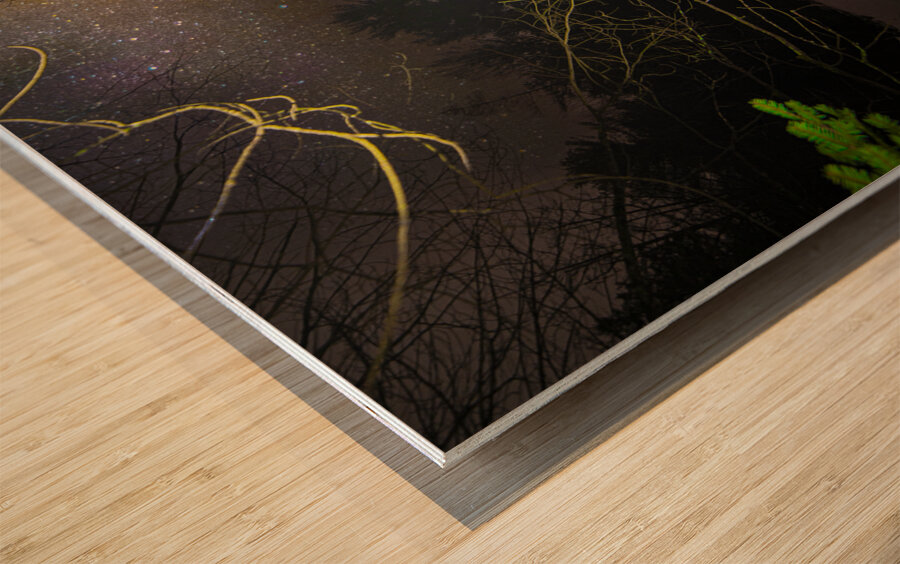 DSC 4039  Wood print