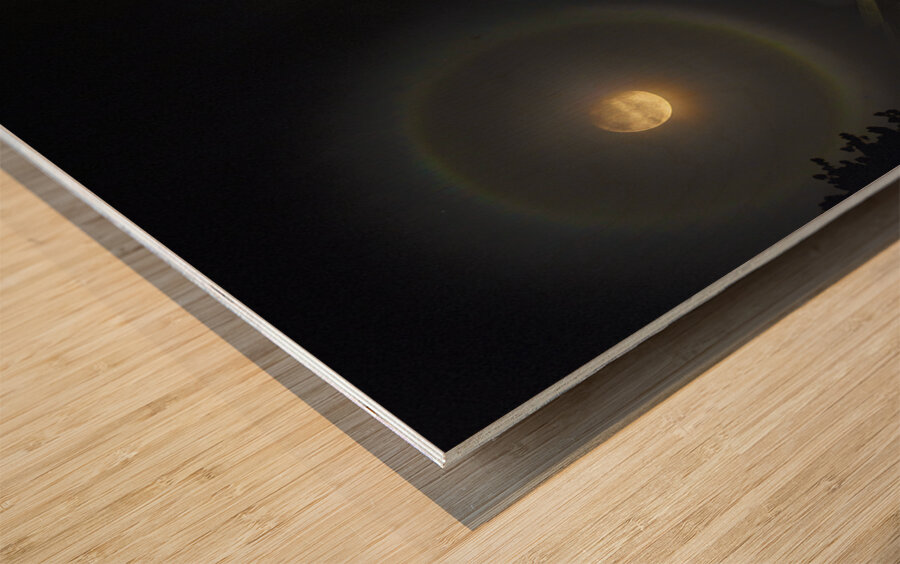 JBS 0475  Wood print