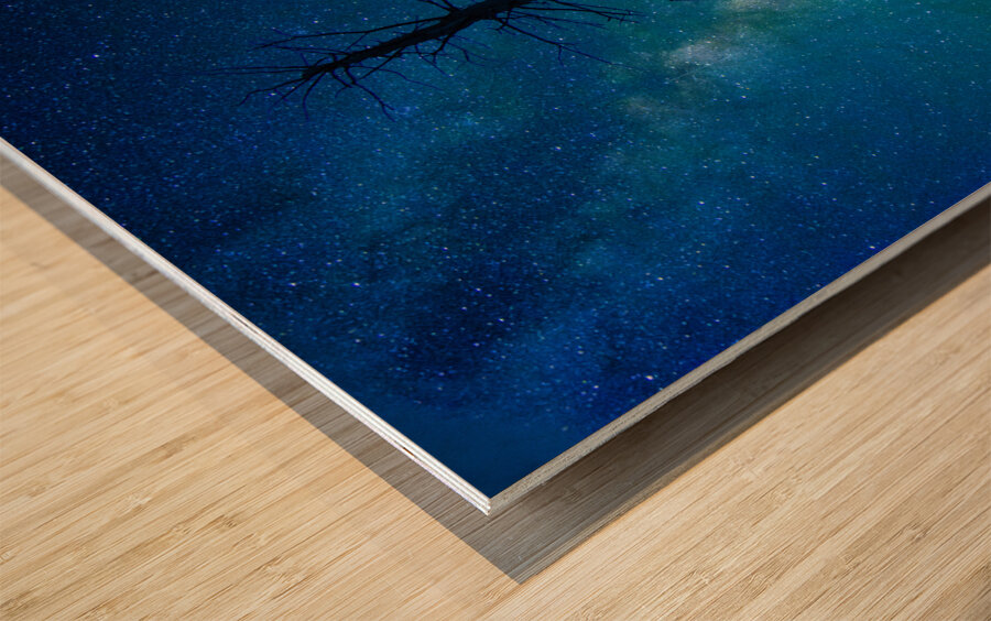 CRC 1662 Impression sur bois