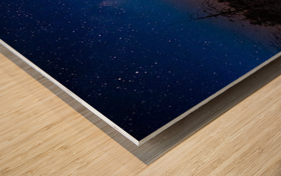 JBS 0117  Wood print