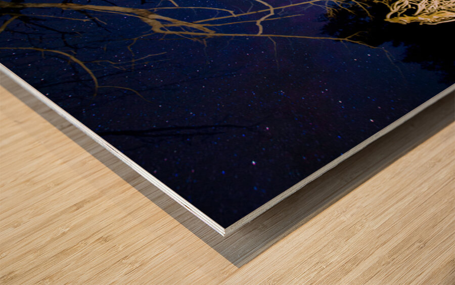 JBS 0725  Wood print