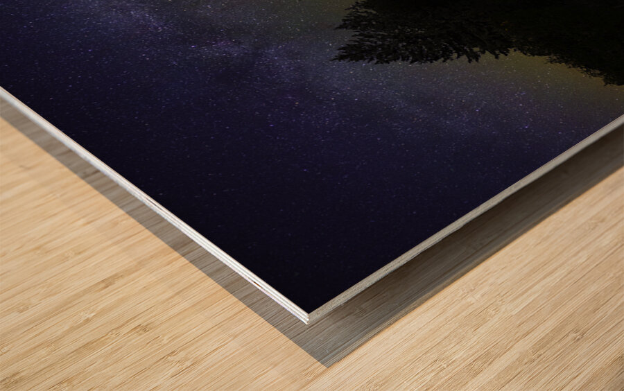 JBS 1800 Impression sur bois