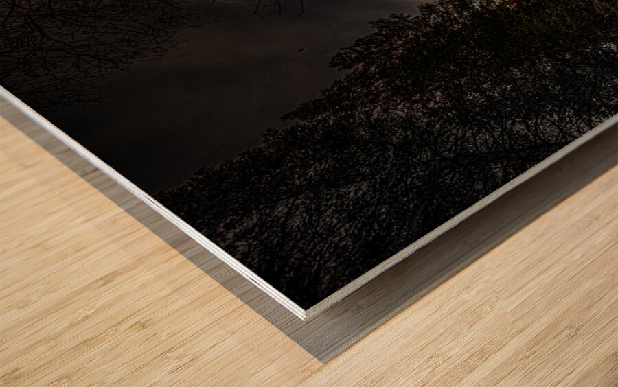 JBS 0868  Wood print