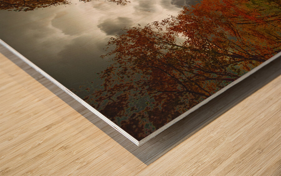 JBS 3790  Wood print