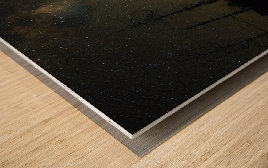 JBS 1459 Impression sur bois