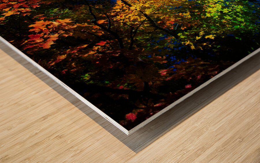 JBS 3297  Wood print