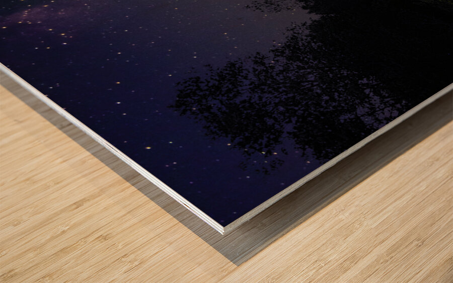 JBS 1513  Impression sur bois