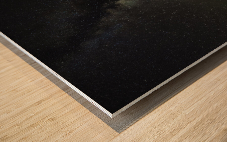 JBS 2879 Impression sur bois